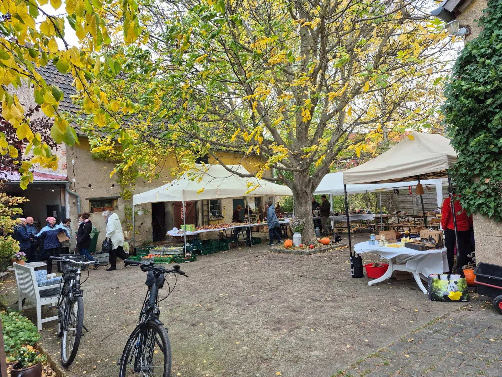 Besucher beim ersten Hoffest auf dem Schmücke-Hof Oktober 2025
