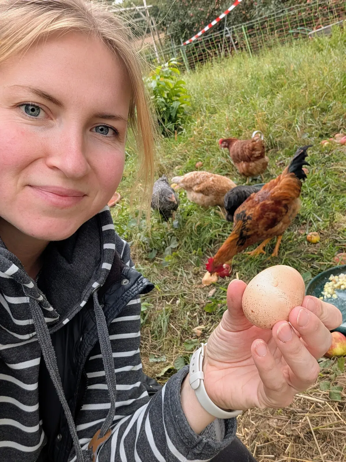 Paula mit frischem Ei, dahinter Hahn Eddi und die Hühner